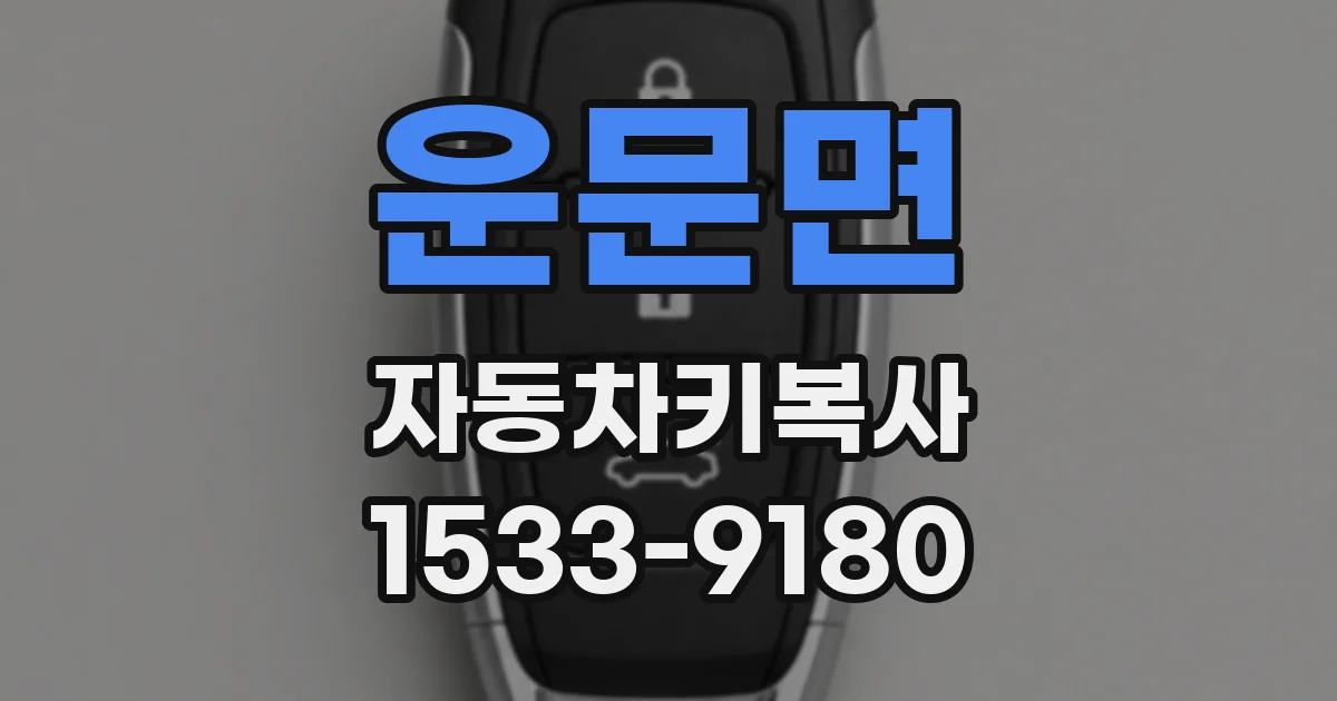 운문면 자동차키복사