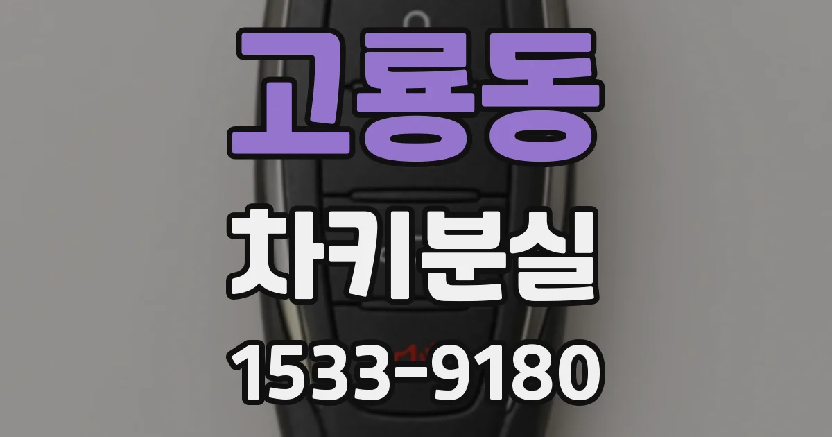 고룡동 차키분실