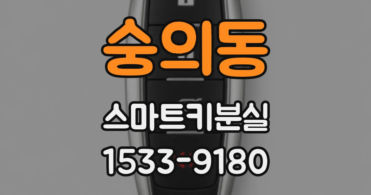 숭의동 스마트키분실