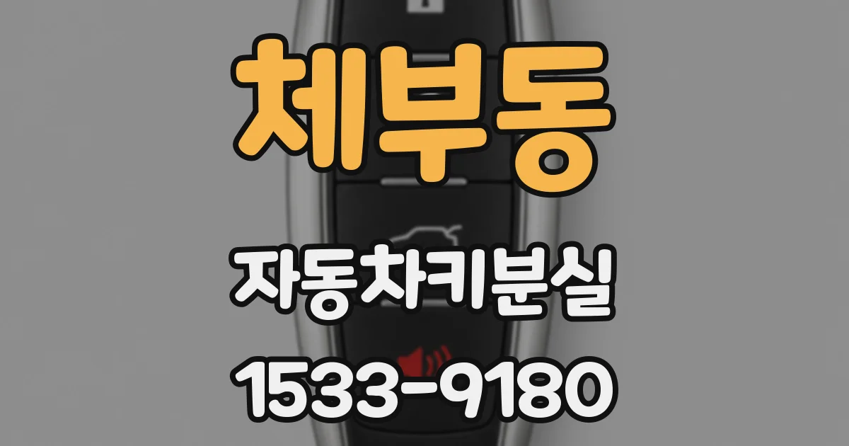 체부동 자동차키분실