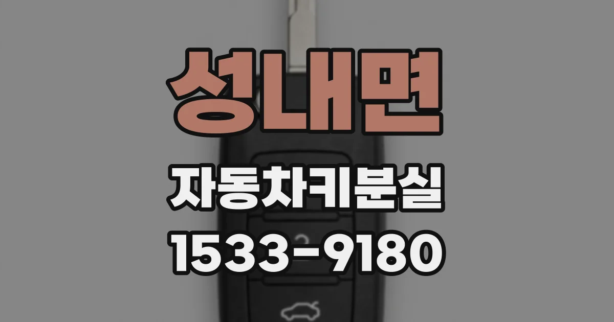 성내면 자동차키분실