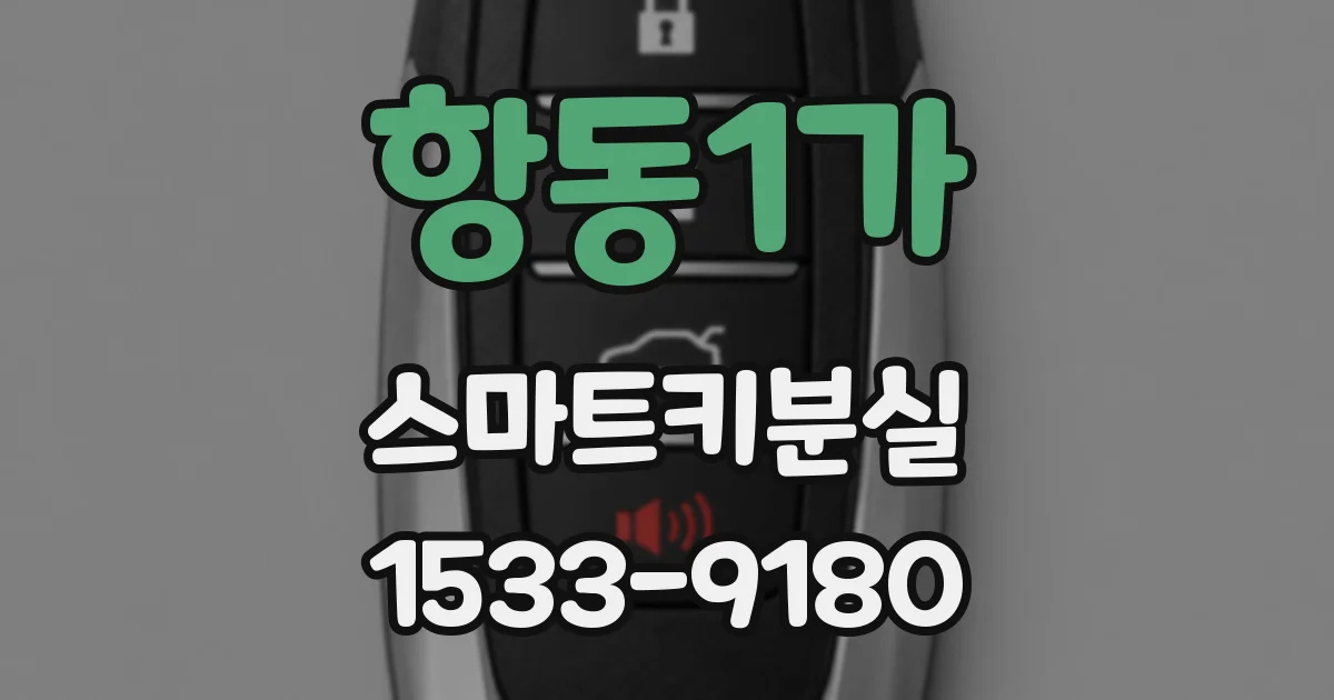 항동1가 스마트키분실