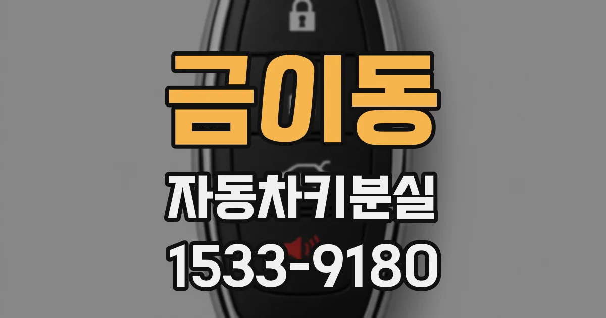 금이동 자동차키분실