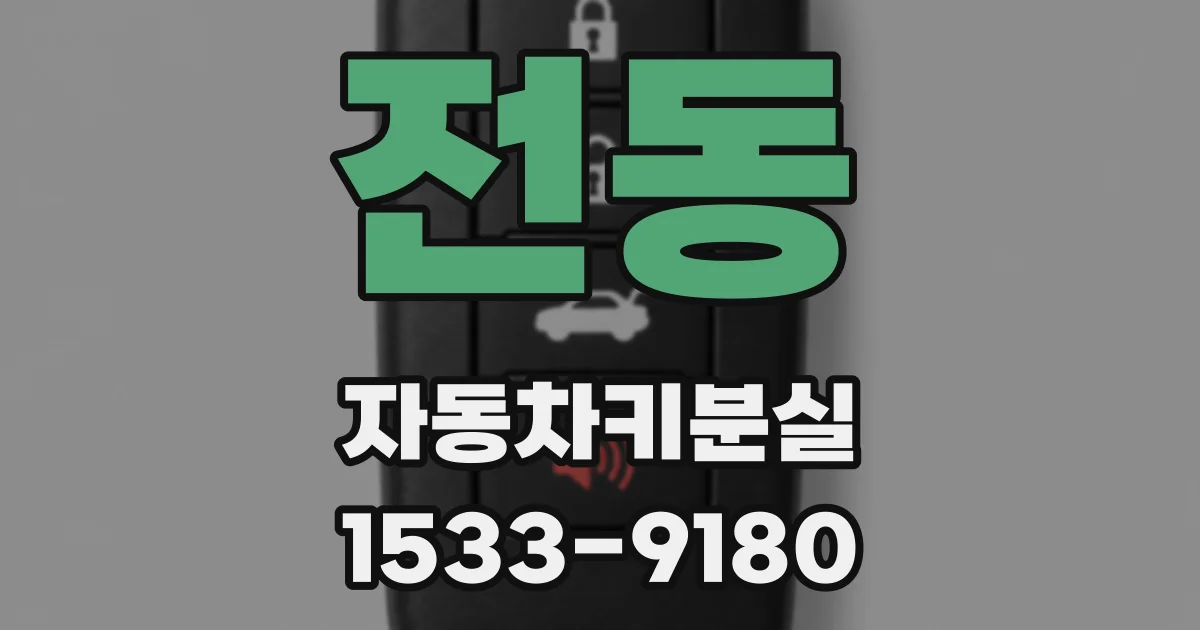 전동 자동차키분실