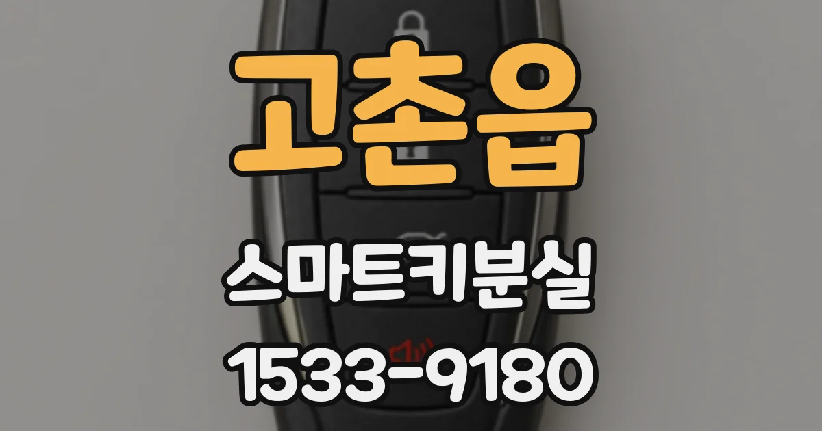 고촌읍 스마트키분실