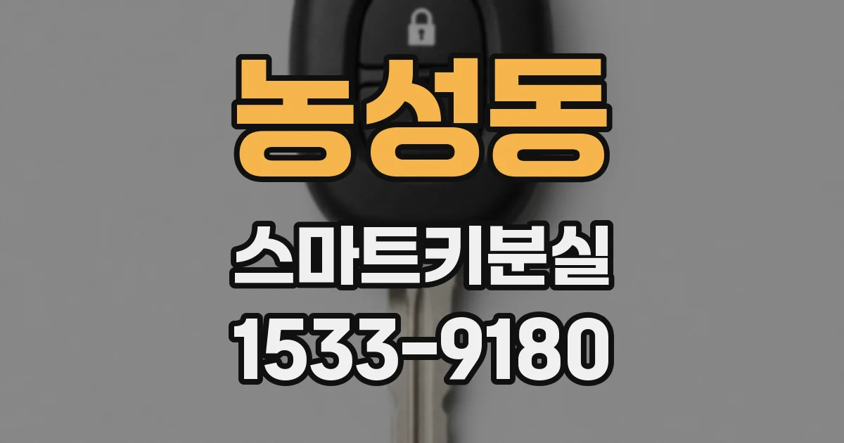농성동 스마트키분실