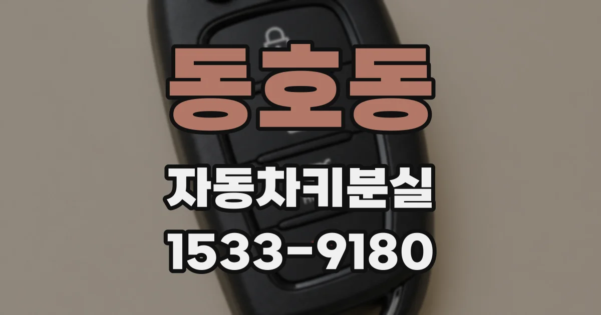 동호동 자동차키분실