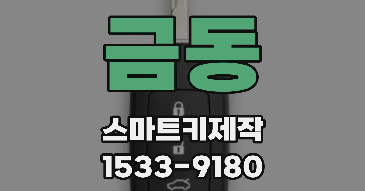 금동 스마트키제작