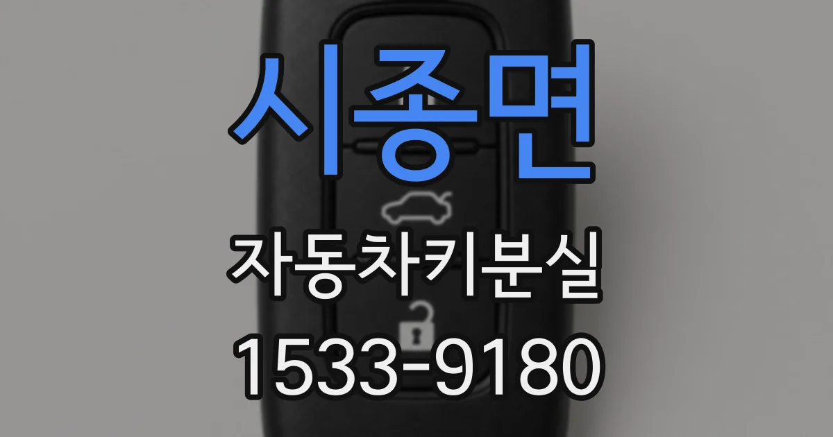 시종면 자동차키분실