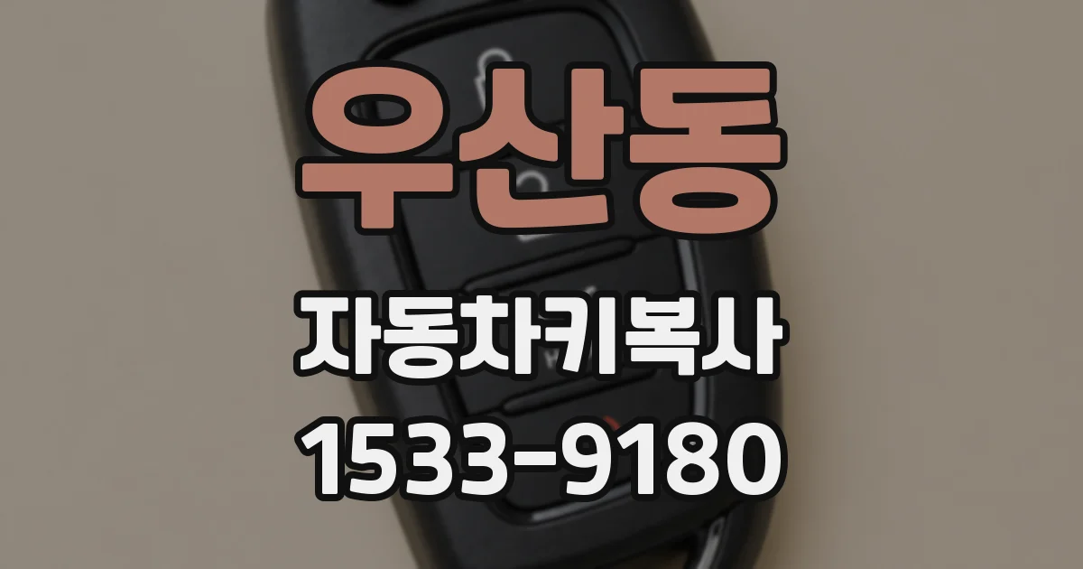 우산동 자동차키복사