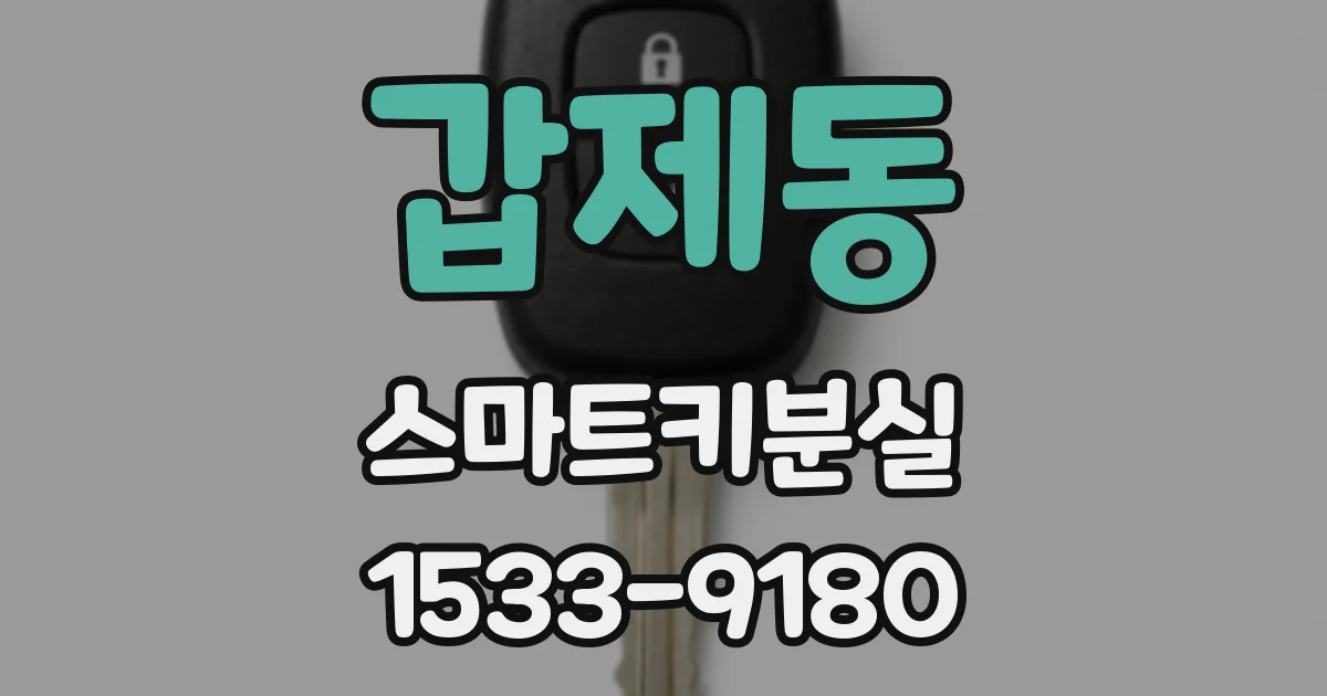 갑제동 스마트키분실