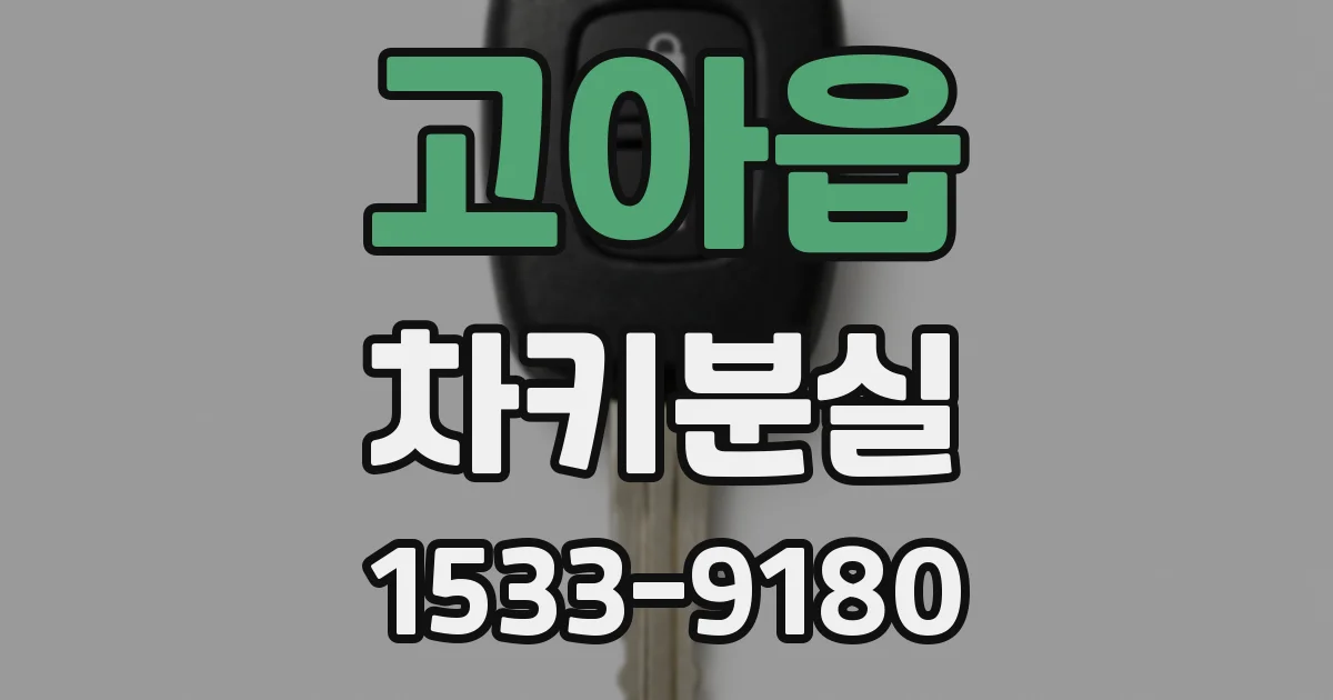 고아읍 차키분실