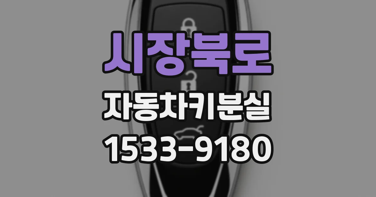 시장북로 자동차키분실