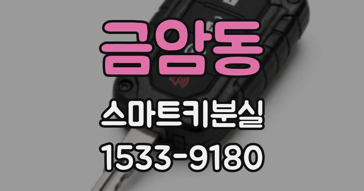 금암동 스마트키분실