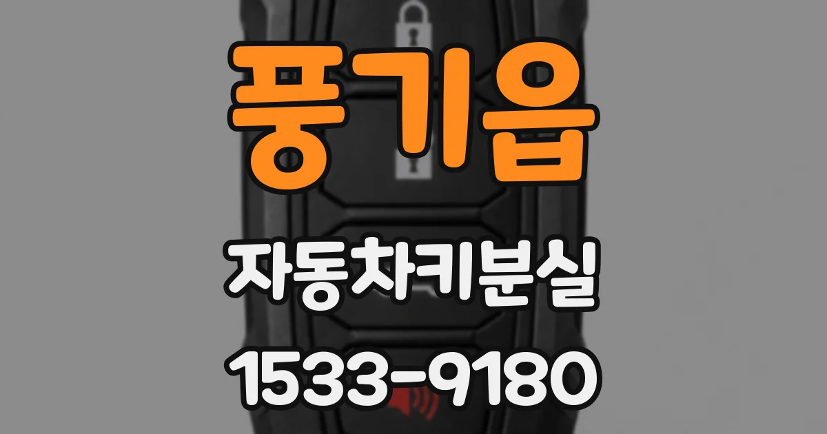 풍기읍 자동차키분실