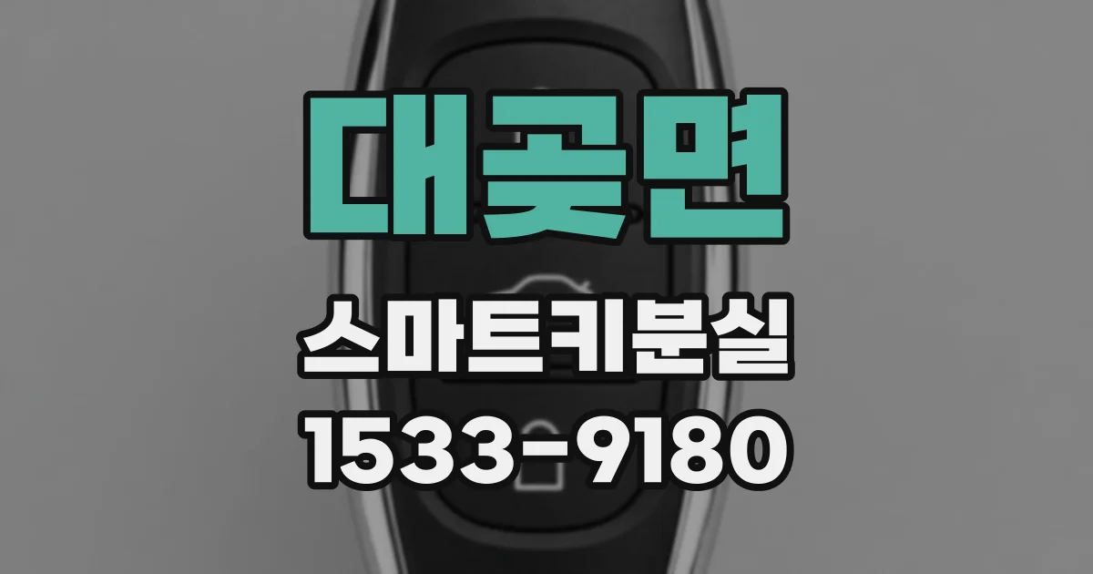 대곶면 스마트키분실