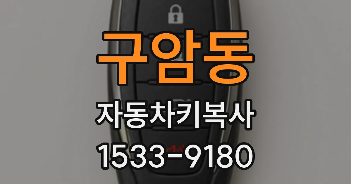 구암동 자동차키복사
