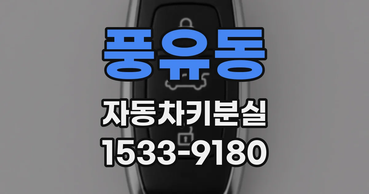 풍유동 자동차키분실