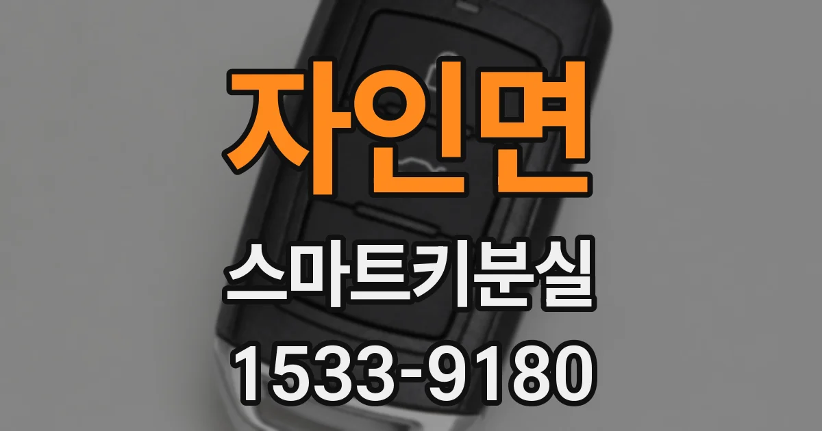 자인면 스마트키분실