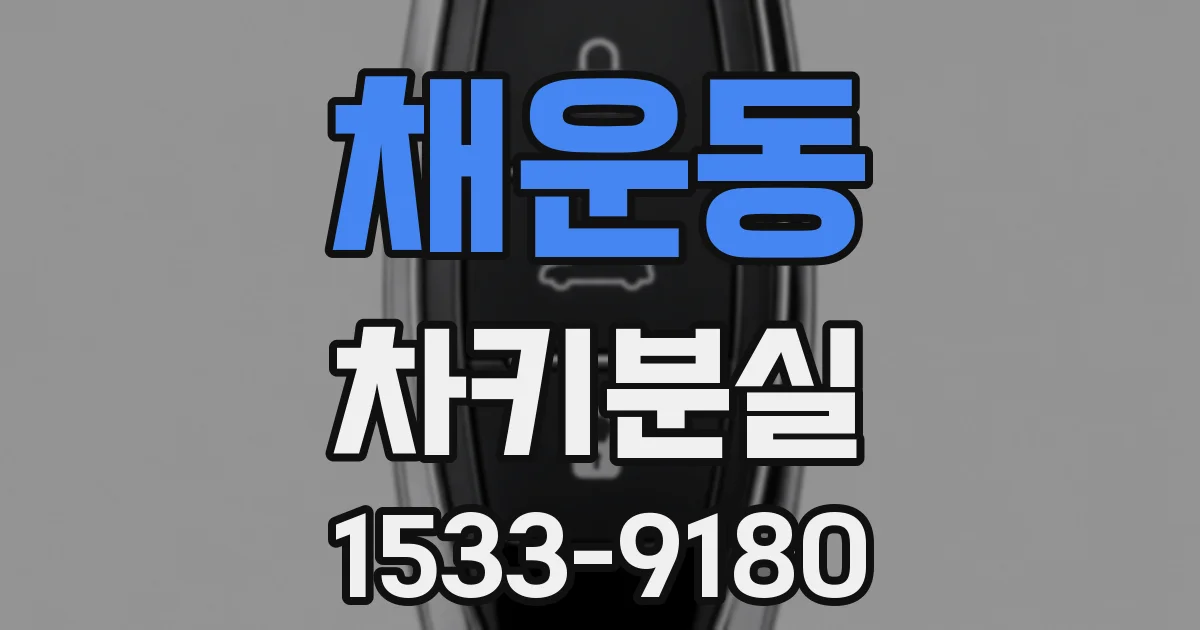 채운동 차키분실