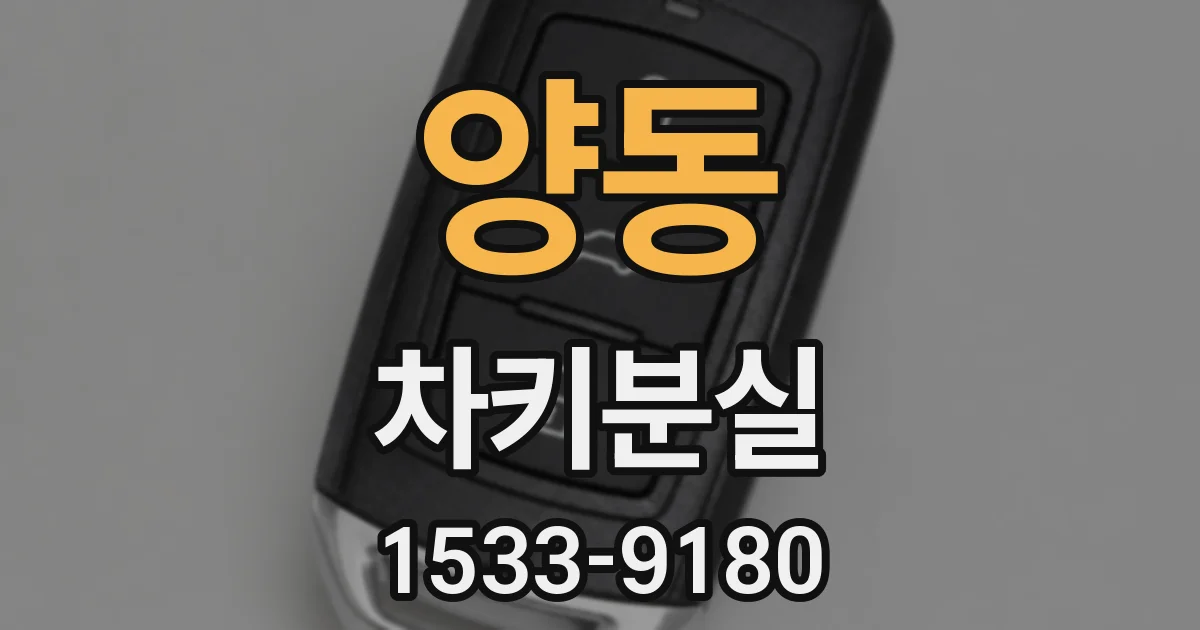 양동 차키분실