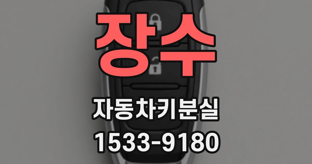 장수 자동차키분실