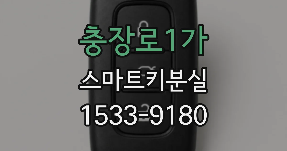 충장로1가 스마트키분실
