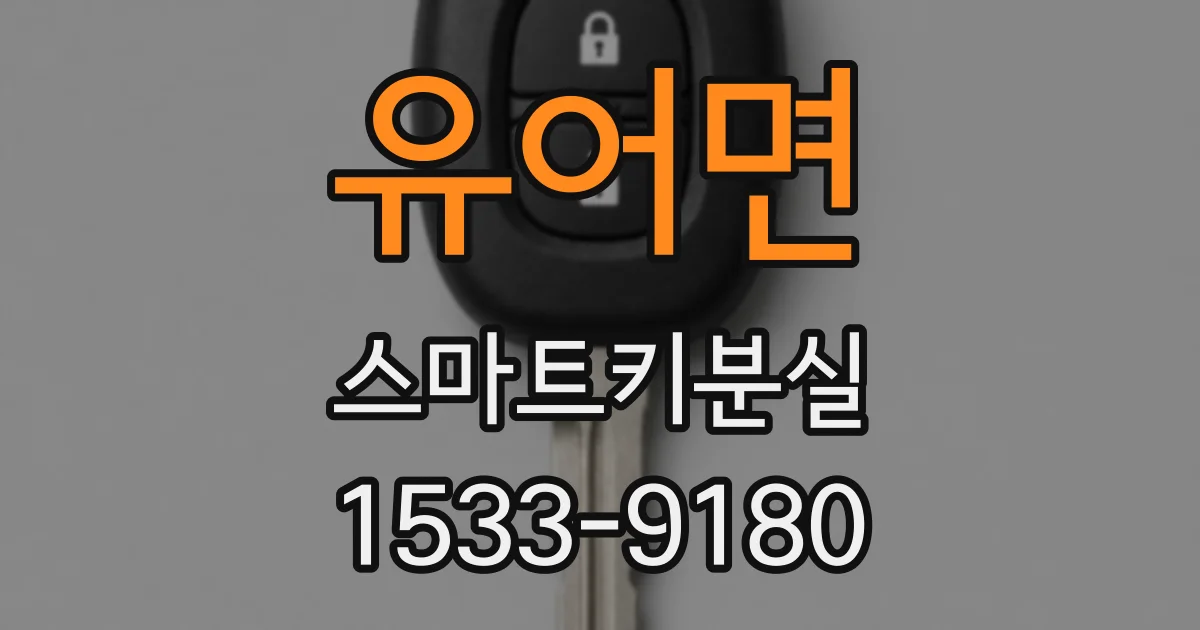 유어면 스마트키분실