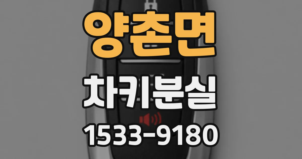 양촌면 차키분실