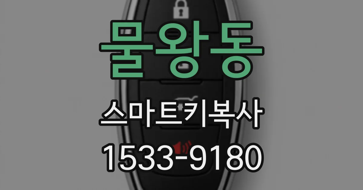 물왕동 스마트키복사