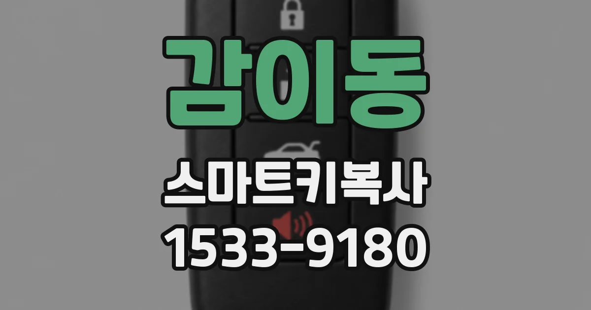 감이동 스마트키복사