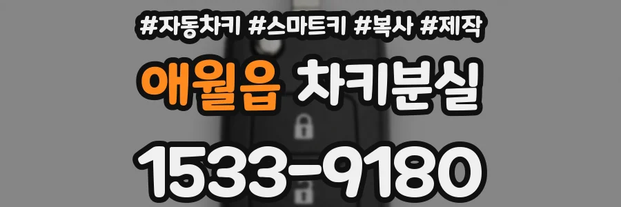 애월읍 차키분실