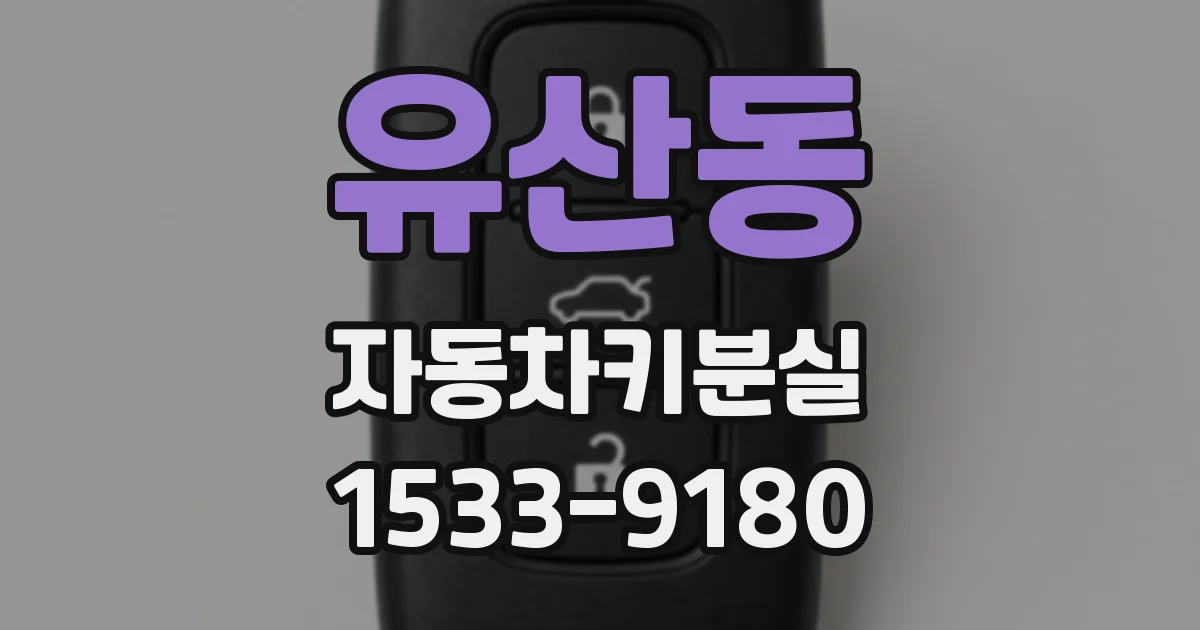 유산동 자동차키분실