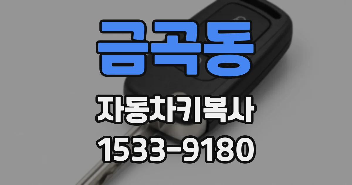 금곡동 자동차키복사