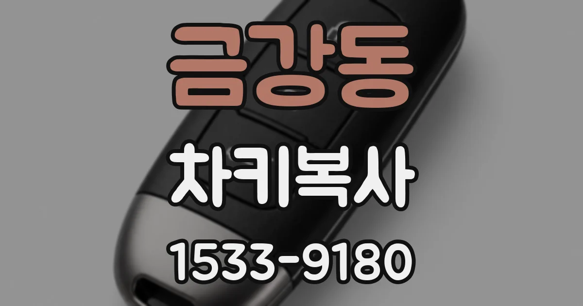 금강동 차키복사