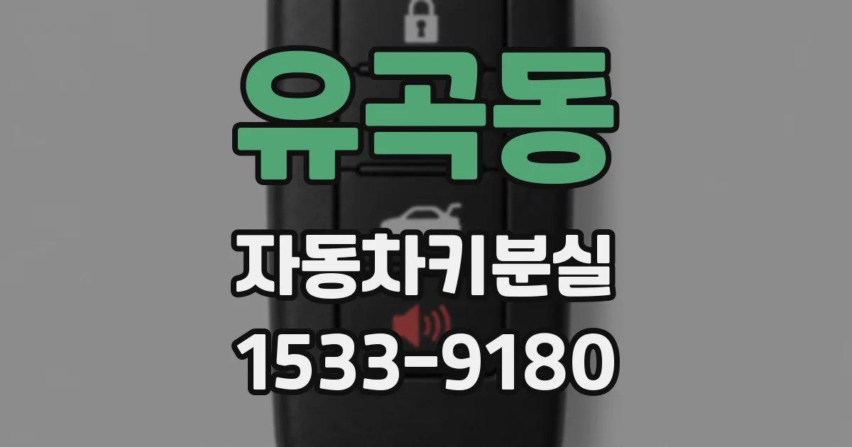 유곡동 자동차키분실