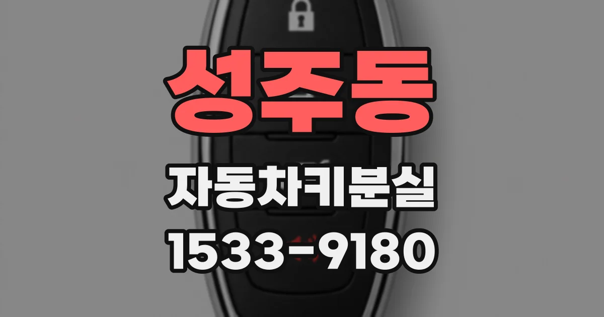 성주동 자동차키분실