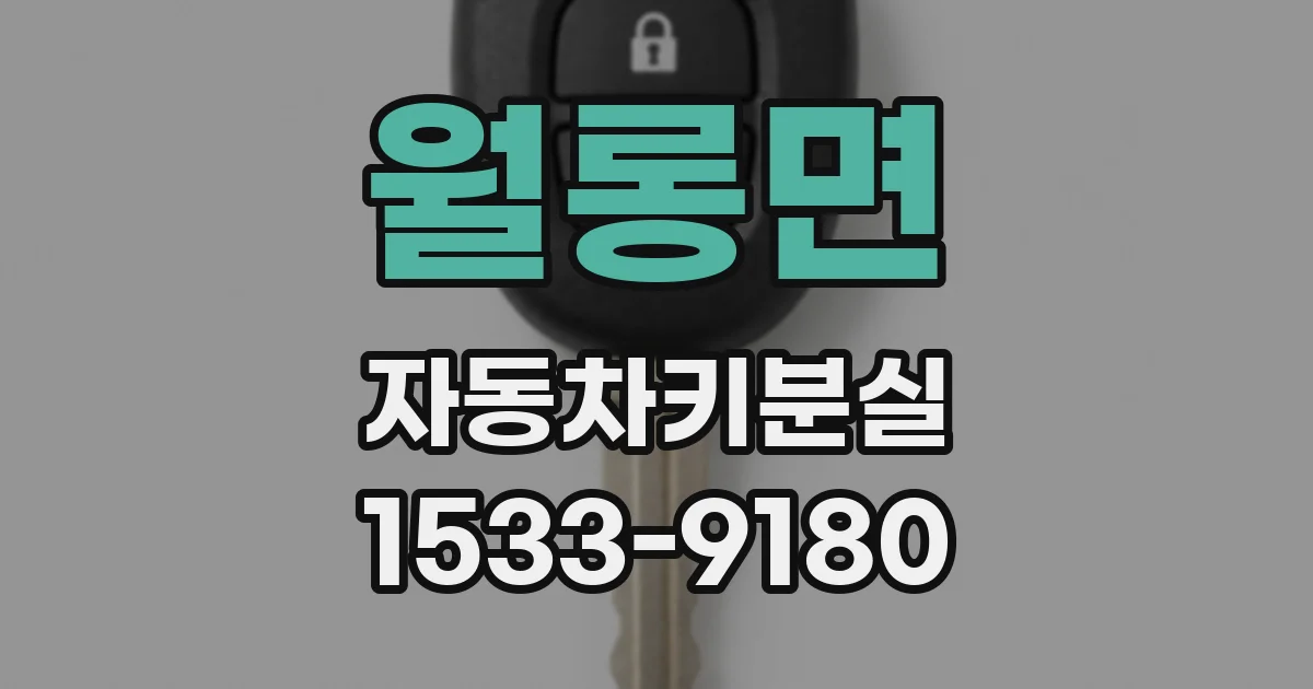 월롱면 자동차키분실