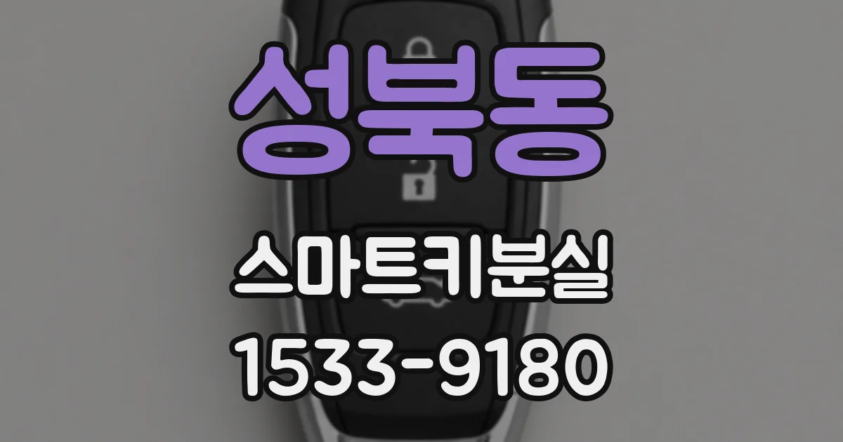 성북동 스마트키분실
