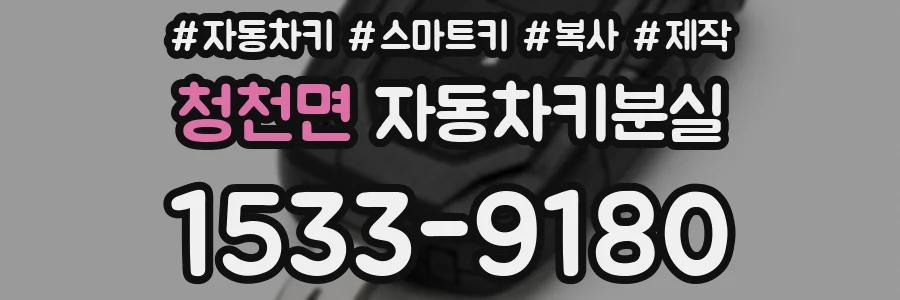 청천면 자동차키분실