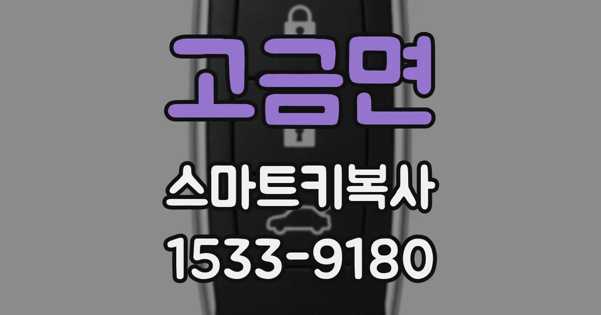 고금면 스마트키복사