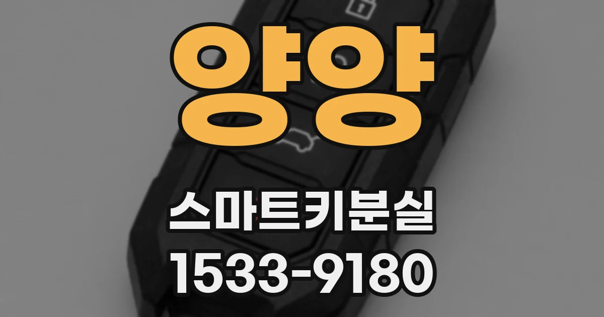 양양 스마트키분실