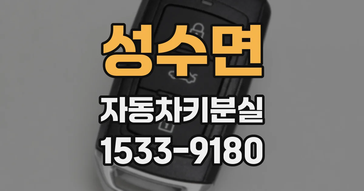 성수면 자동차키분실