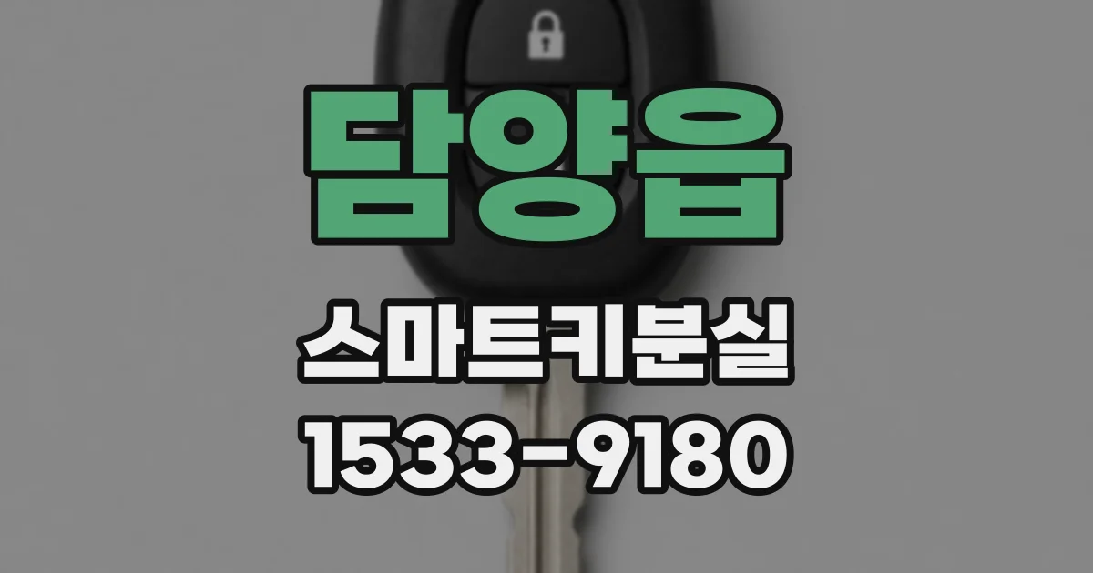 담양읍 스마트키분실