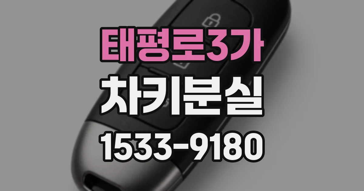 태평로3가 차키분실