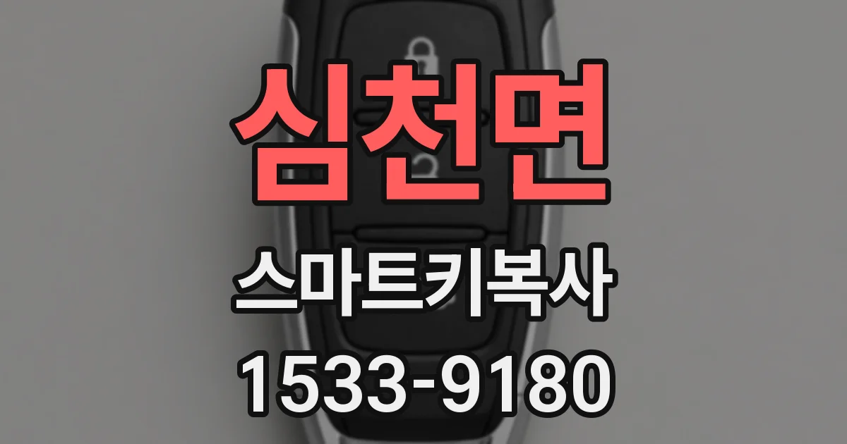 심천면 스마트키복사