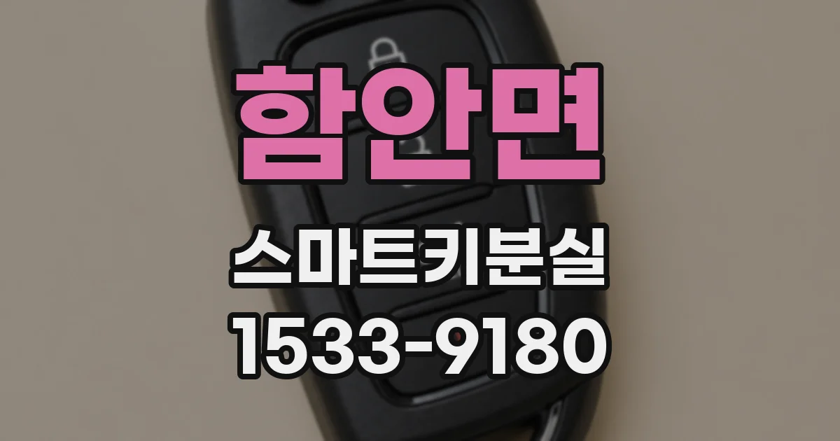 함안면 스마트키분실