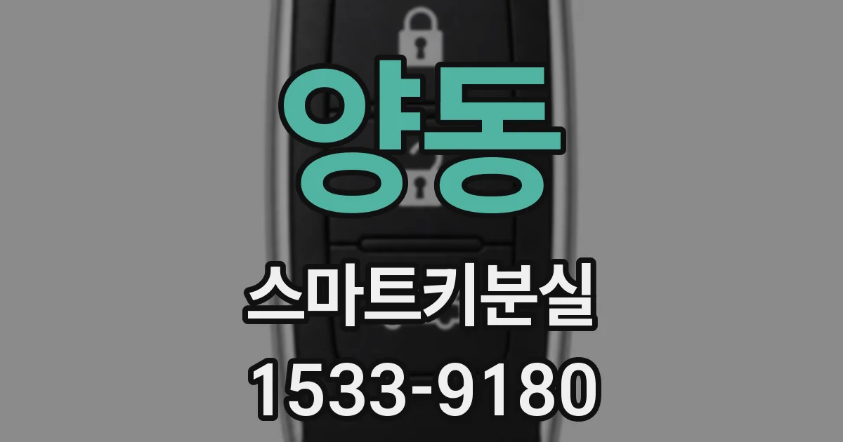 양동 스마트키분실
