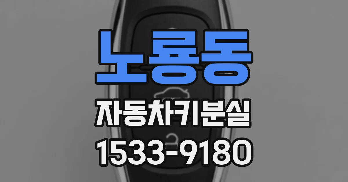 노룡동 자동차키분실