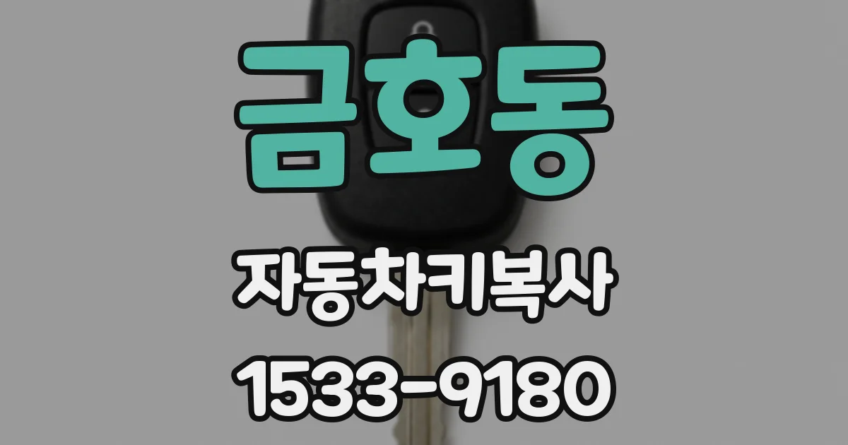 금호동 자동차키복사